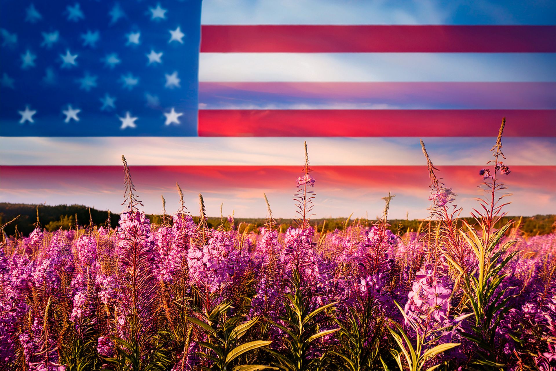 Fireweed Flag In Sky